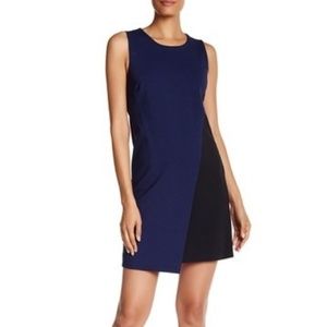 Diane von Furstenberg 'Livvy' Shift Dress